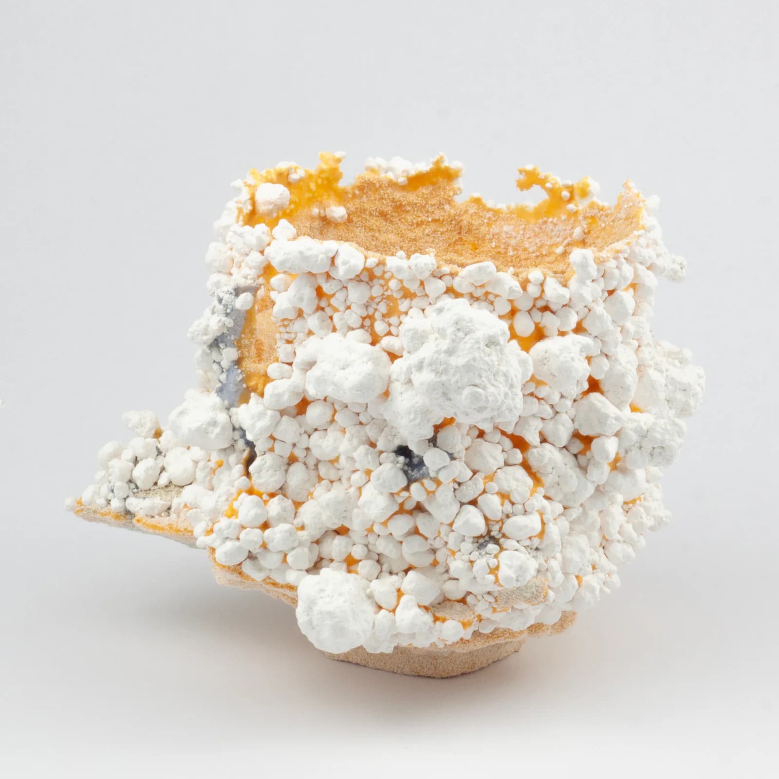 Tectomorphs ceramic artwork 7