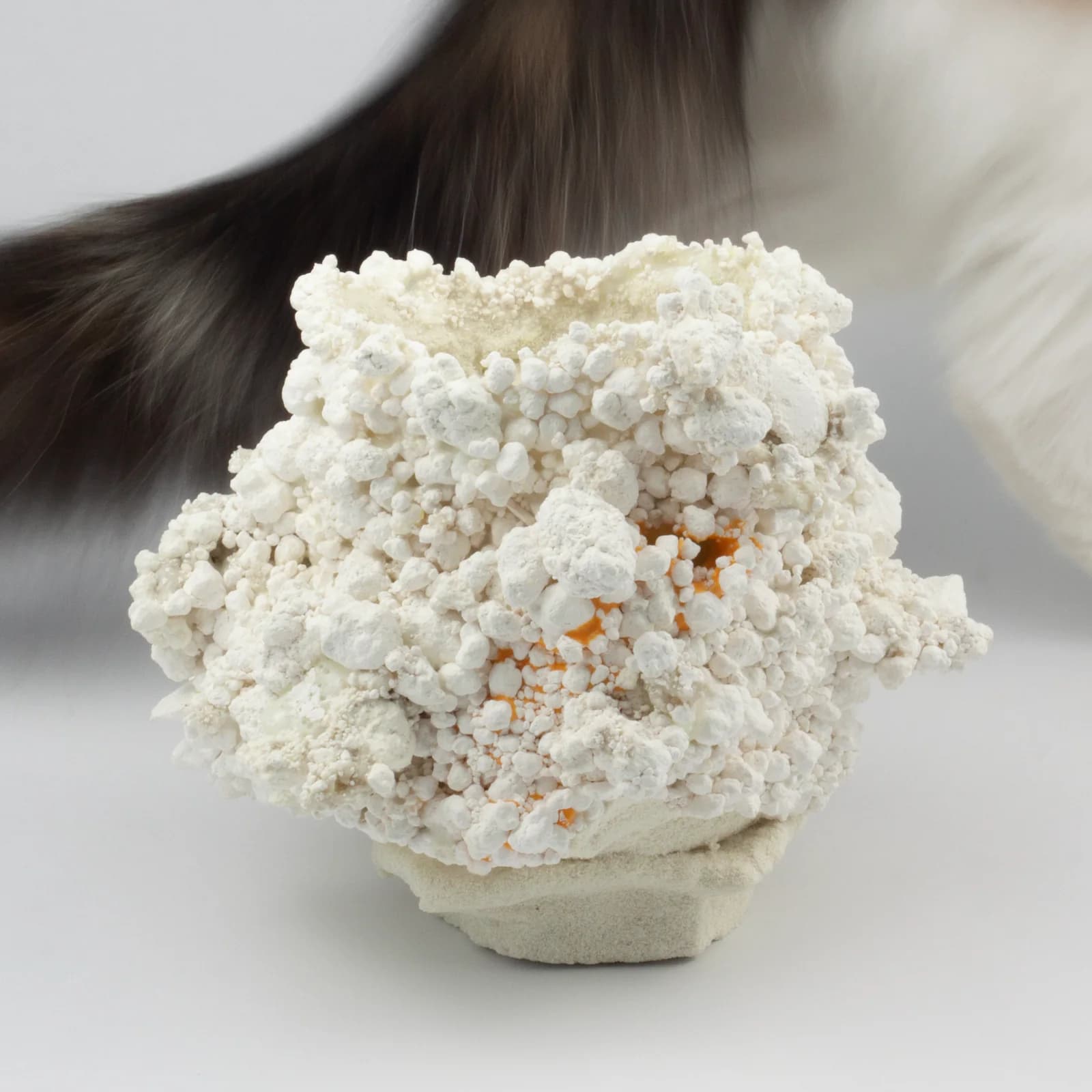 Tectomorphs ceramic artwork 16