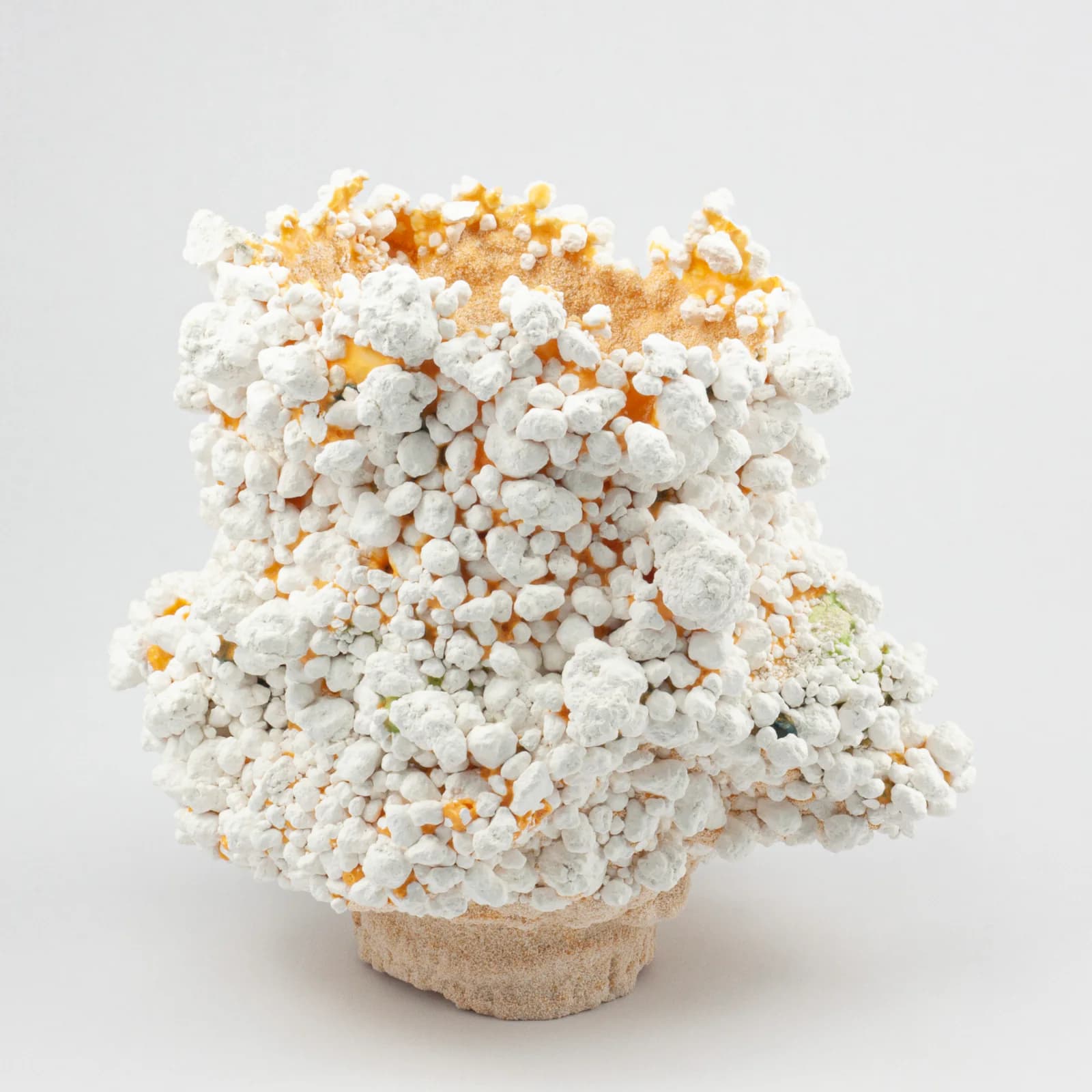 Tectomorphs ceramic artwork 18