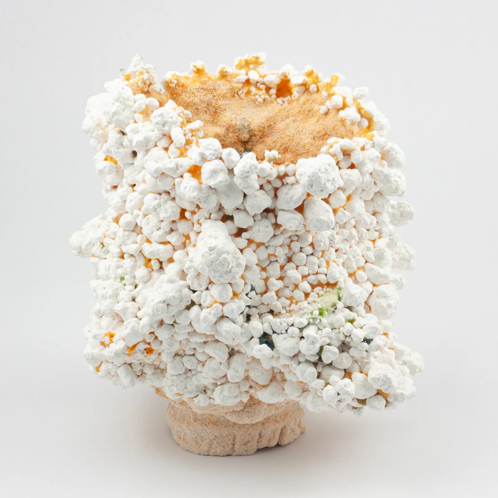 Tectomorphs ceramic artwork 19