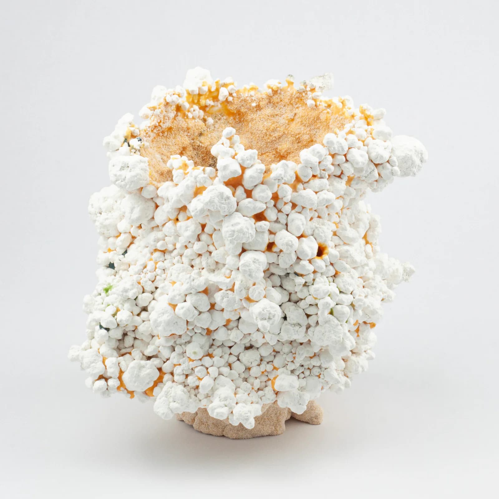 Tectomorphs ceramic artwork 20