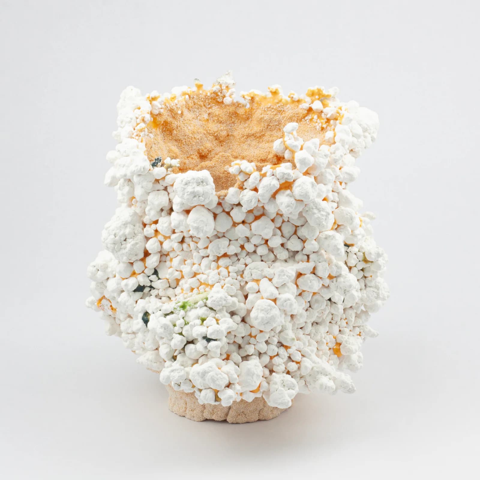 Tectomorphs ceramic artwork 21