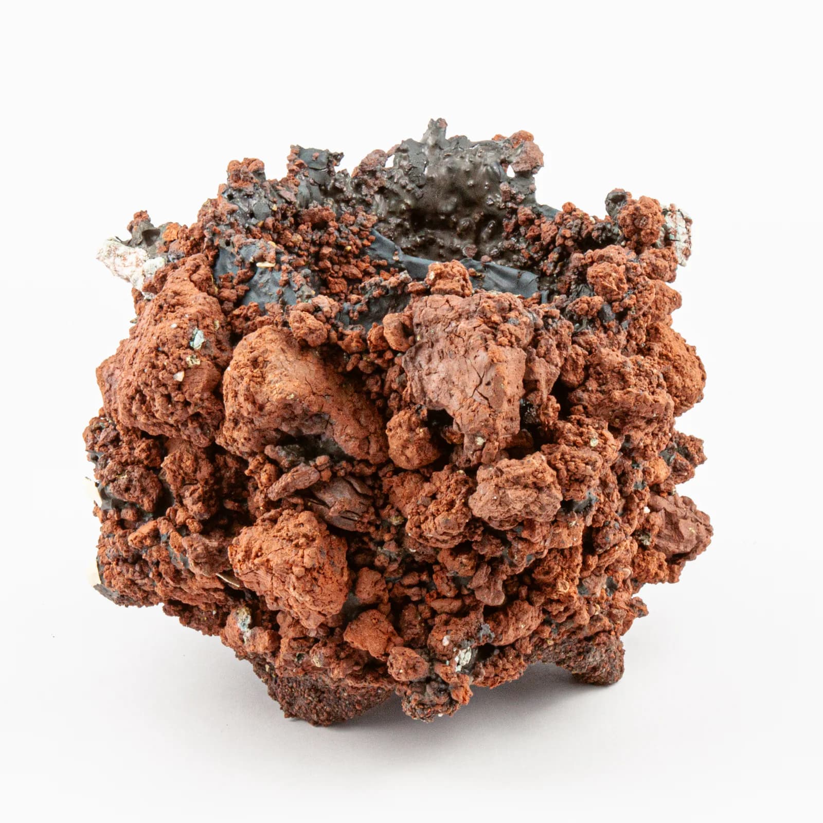 Tectomorphs ceramic artwork 34