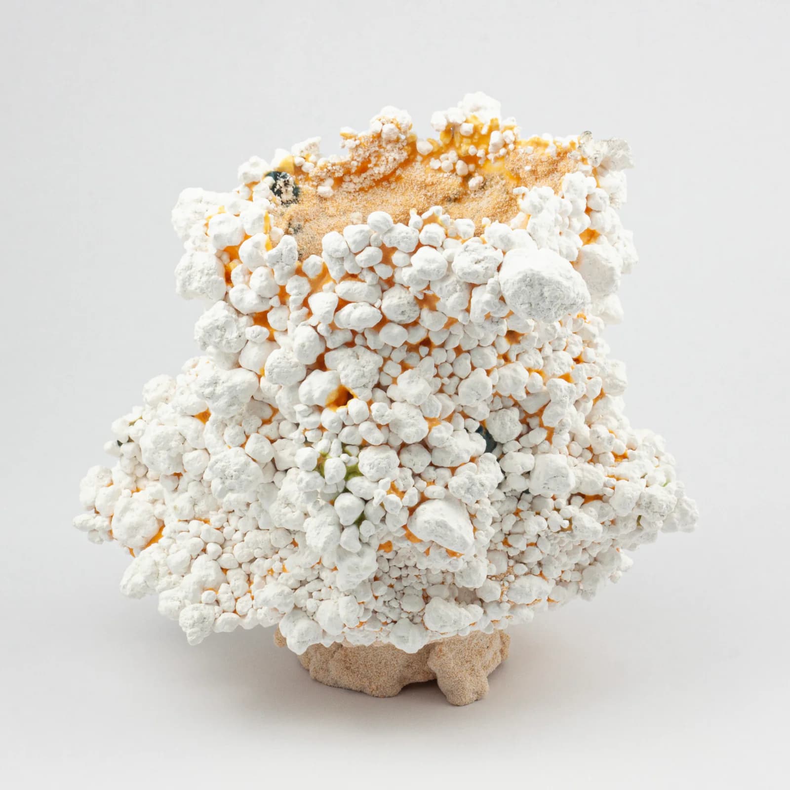 Tectomorphs ceramic artwork 39